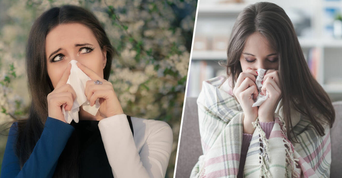 Allergisk mot pollen – eller bara förkyld? Så vet du skillnaden.