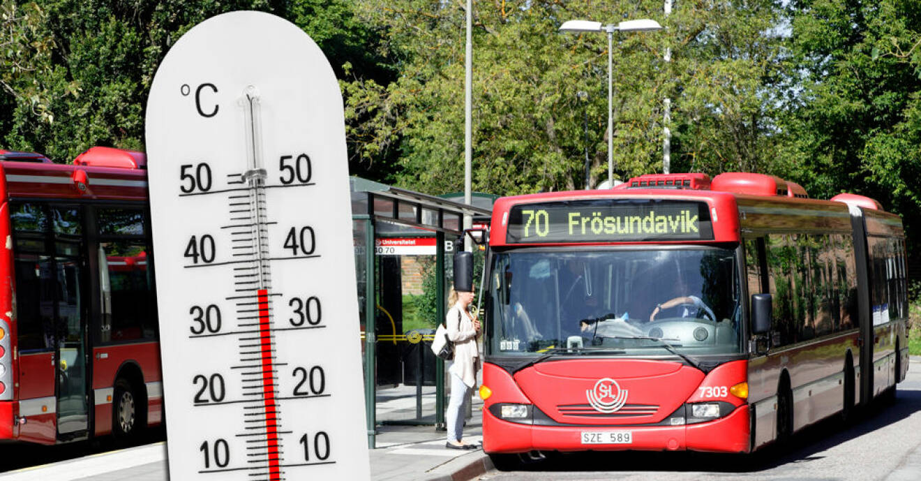 Stockholmsbussarna skulle anses vara för varma – i alla för för djur.