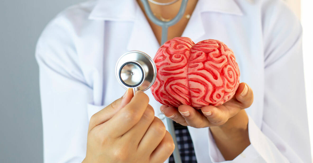 Läkare håller en modell av en hjärna i sina händer