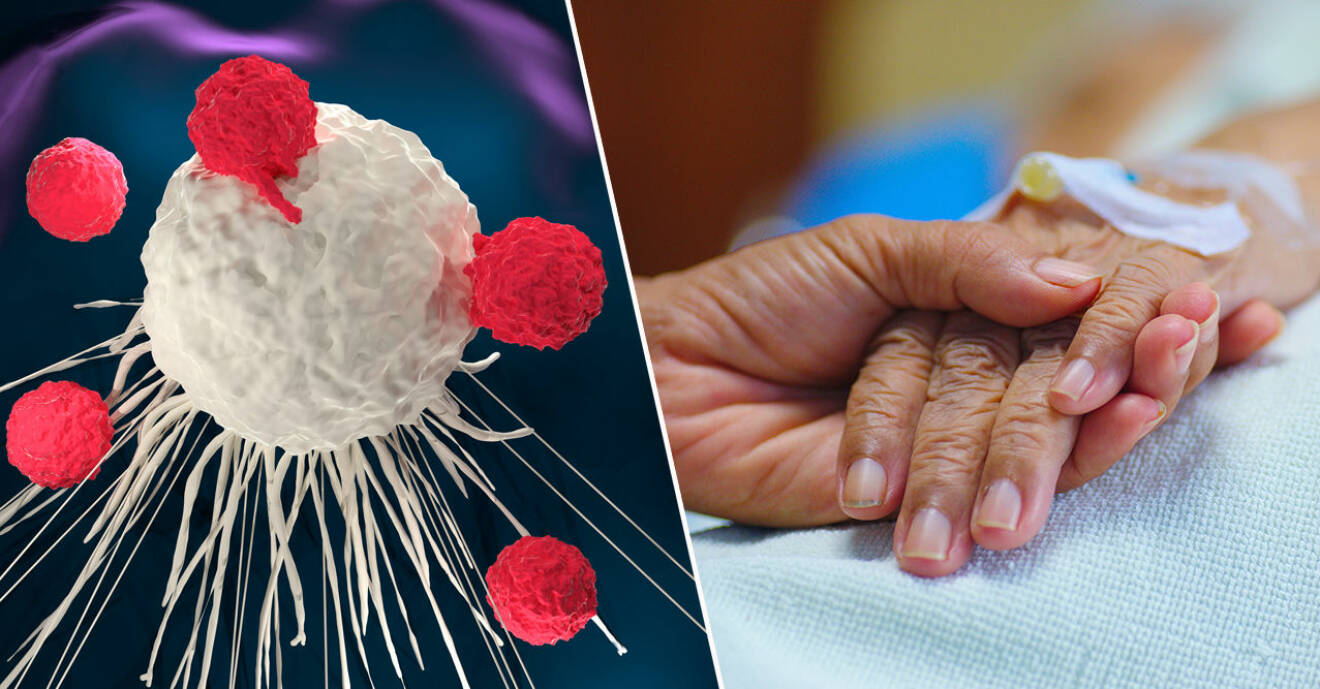 Delad bild: En t-cell angriper en cancercell, någon håller handen på en sjuk människa
