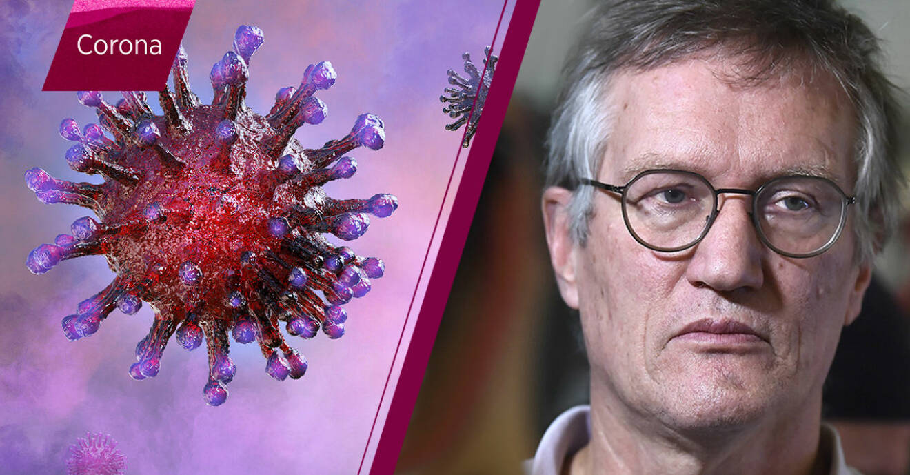Anders Tegnell tror att coronasmittan når sin kulmen 5-6 månader efter utbrottet i Sverige.