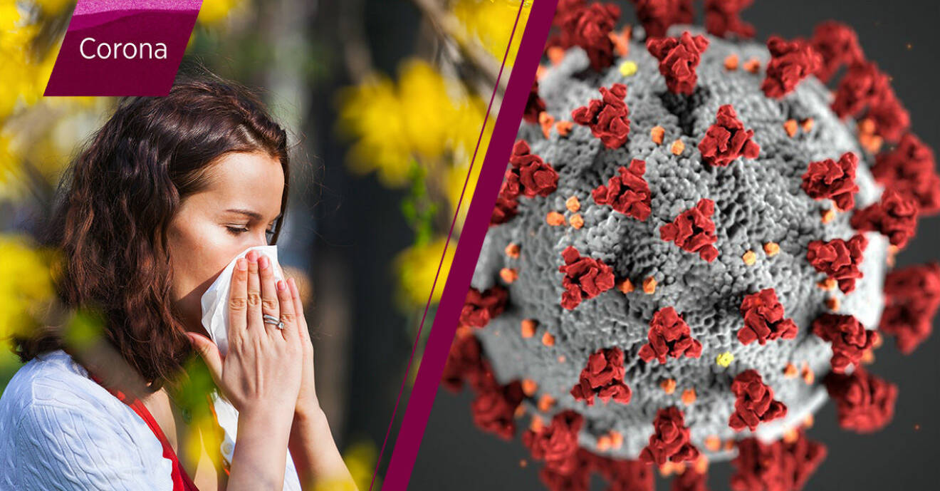 Kvinna drabbad av pollen, coronaviruset.