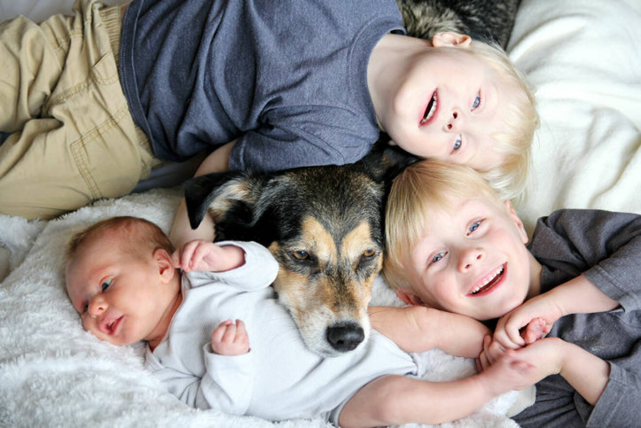 Three happy young children, including a newborn baby girl, a toddler, and their big brother are laying in bed snuggling with their pet dog.