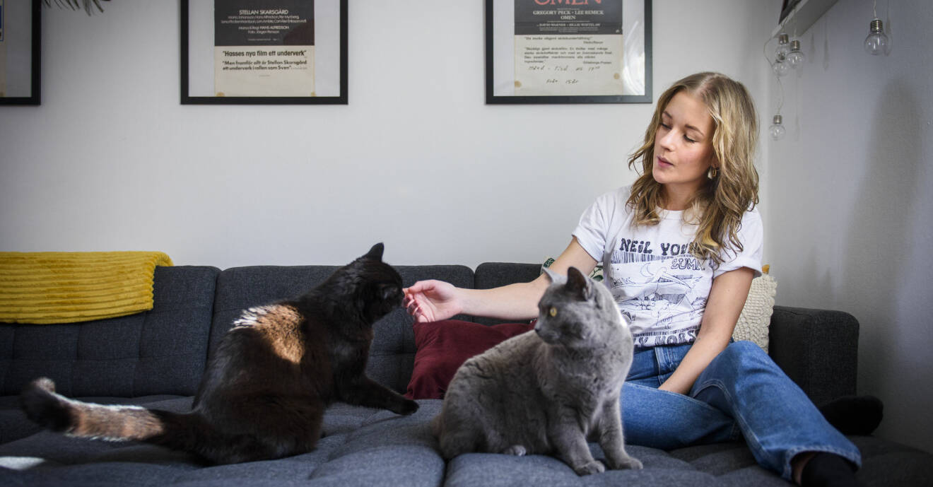 Nikki Kjellsson som har multipel skleros gullar med sina katter i en soffa.