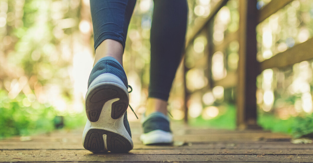 Visste du det här om promenader? 10 hälsoeffekter! | MåBra