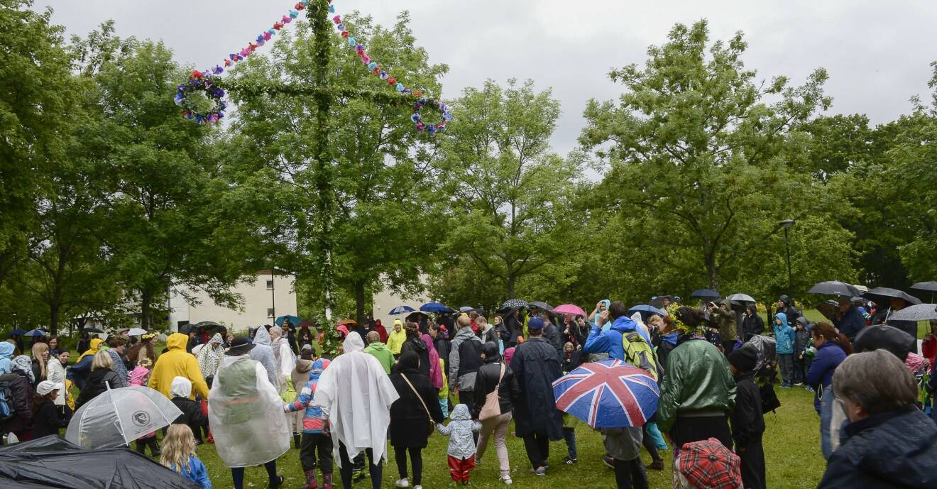Människor deltar i midsommarfirande runt en midsommarstång i regnet