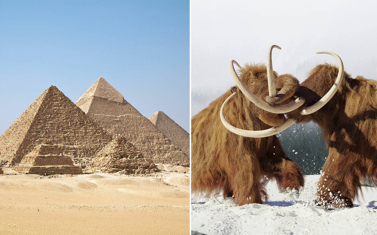 pyramiderna och mammutar