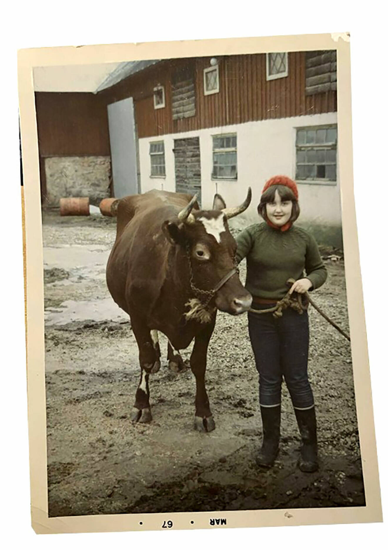 Babben Larsson som barn med sin ko.