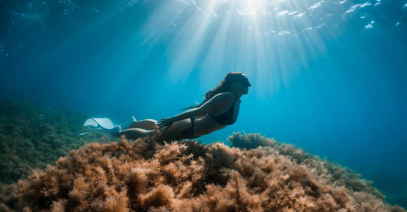 kvinna simmar i havet