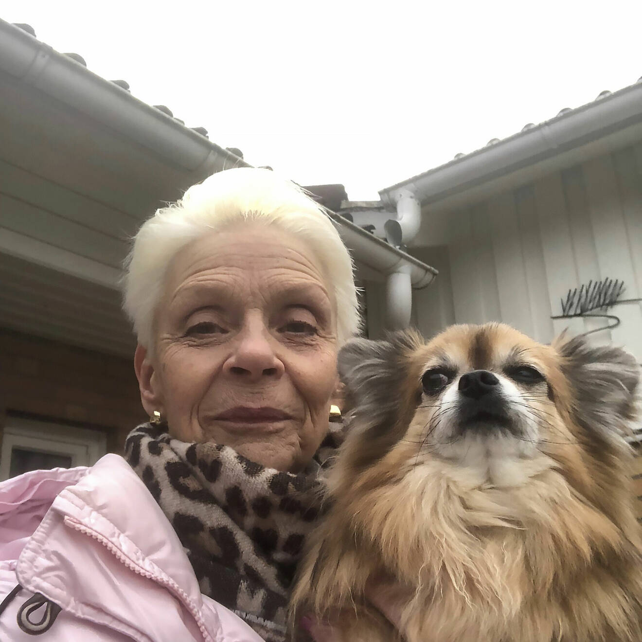 Marianne Jönsson med chihuahuan Tusse.