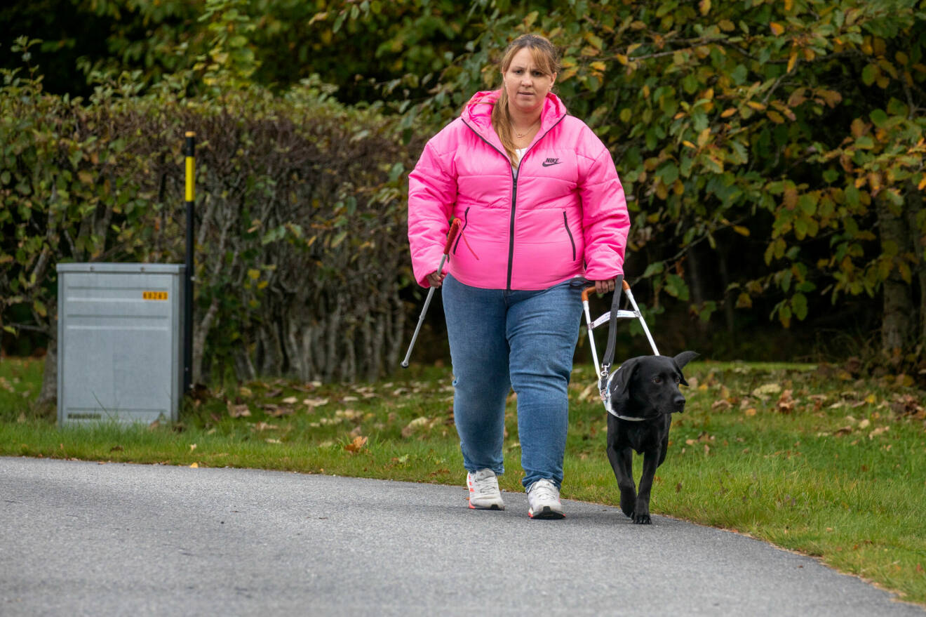 Linda, som blev blind efter en misslyckad operation, på promenad tillsammans med labradoren Doris.
