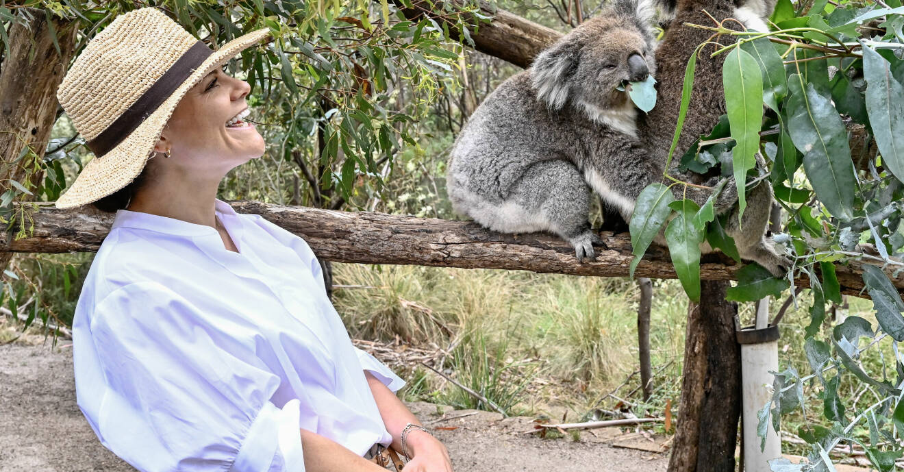 Kronprinsessan Victoria hänge med koalor i Canberra.