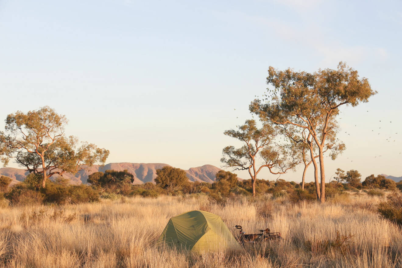 tält vid Uluru