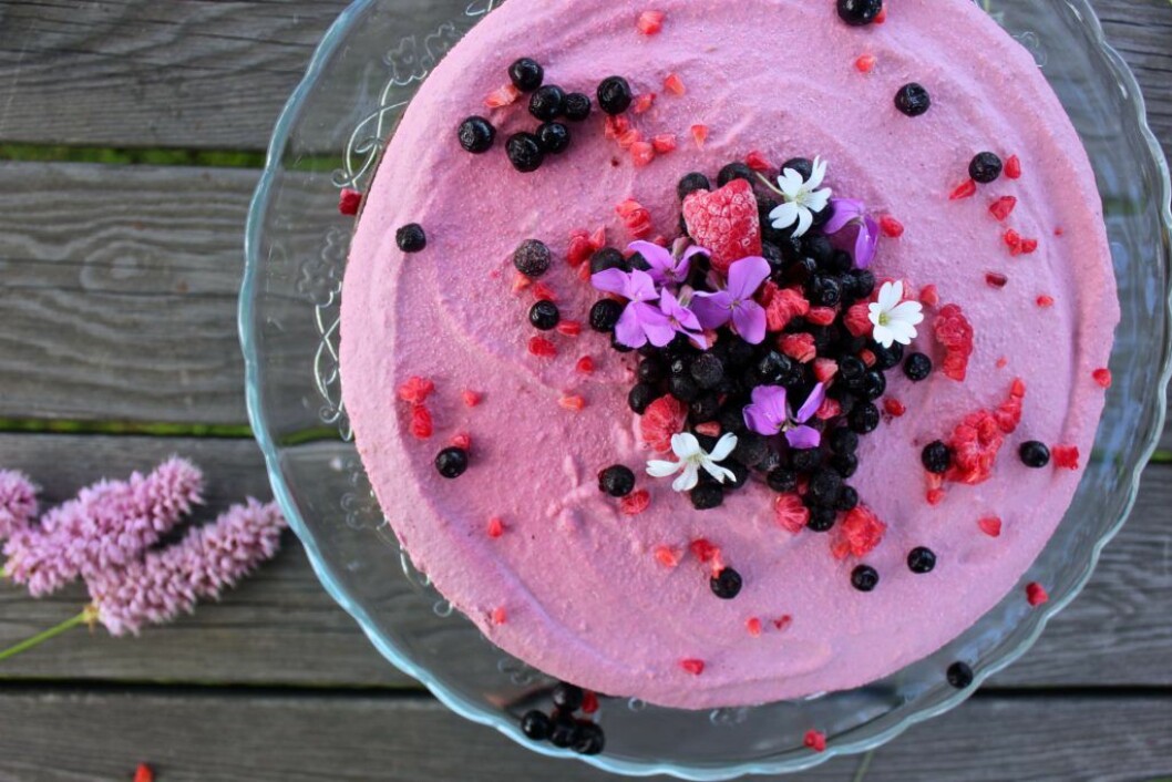 raw cheesecake