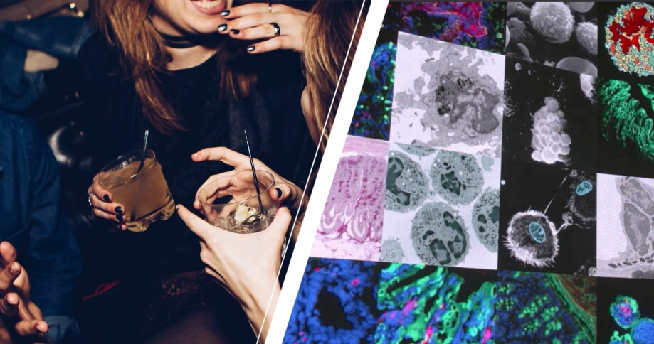 en bild på kvinnor som dricker drinkar och en på olika immunceller