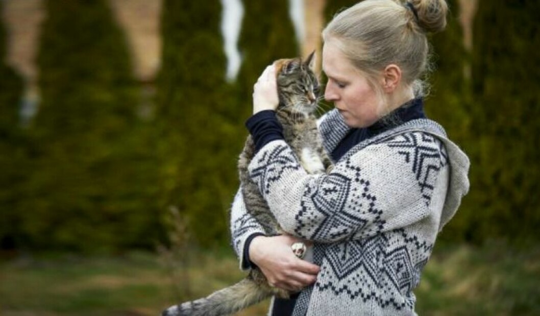 Jonna och Freddie räddar katter som ingen vill ha. I dag har de nio stycken.