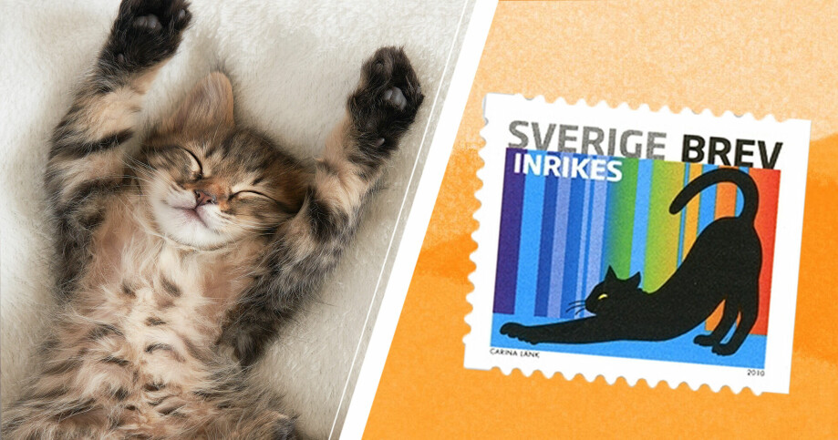 gullig katt och frimärke