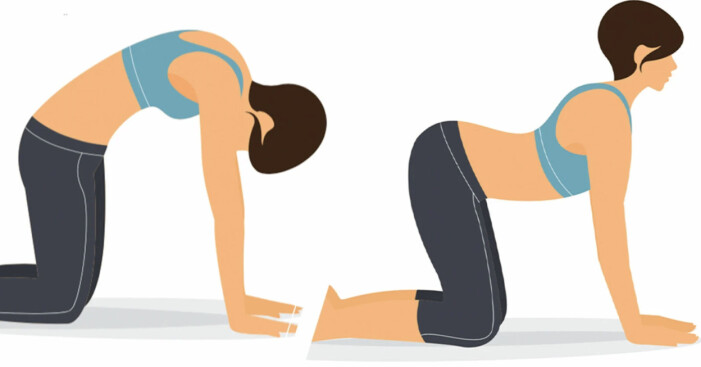 katt ko stretch