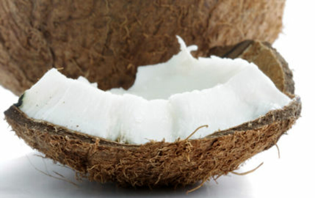 Kokosfett - bra eller dåligt? (Bild: Thinkstock)
