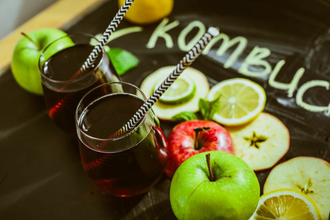 Recept på kombucha