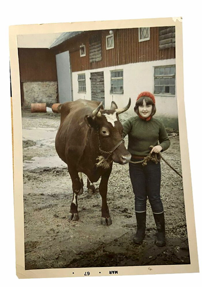Kon Krona var en av Barbros favoriter hemma på gården Busarve på Gotland, här ett foto från 1967. Babben Larsson som barn med sin ko.