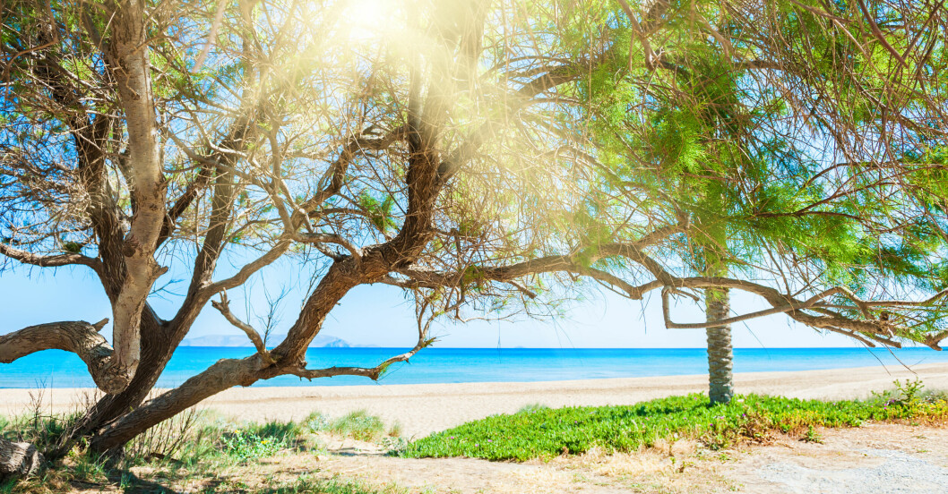 Vackra stränder på kreta
