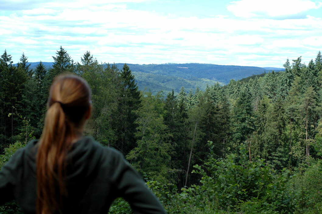 Kvinna i skogen