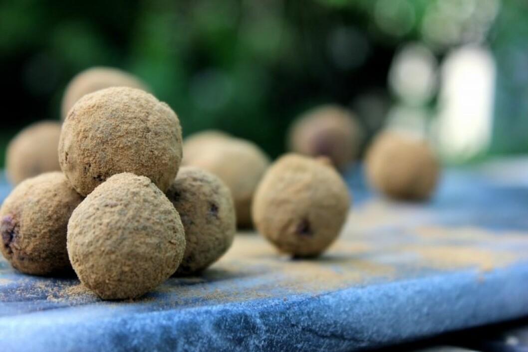 lakritspulver-chokladboll-rawfoodboll-rawfood-lakrits-kakao-supermat