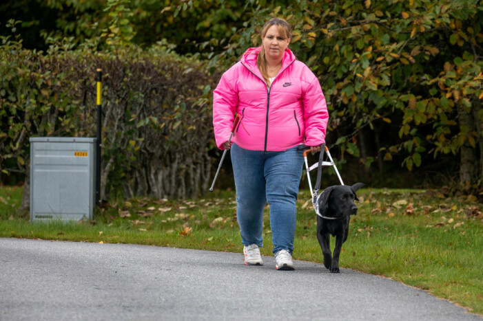 Tack vare labradoren Doris kan Linda leva betydligt mer självständigt än när hon bra hade en vit käpp. Linda, som blev blind efter en misslyckad operation, på promenad tillsammans med labradoren Doris.