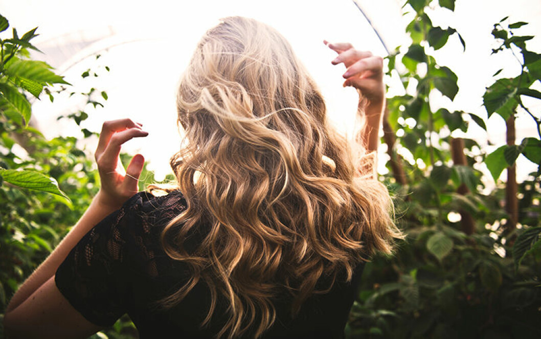 Foto: Tim Mossholder/Unsplash