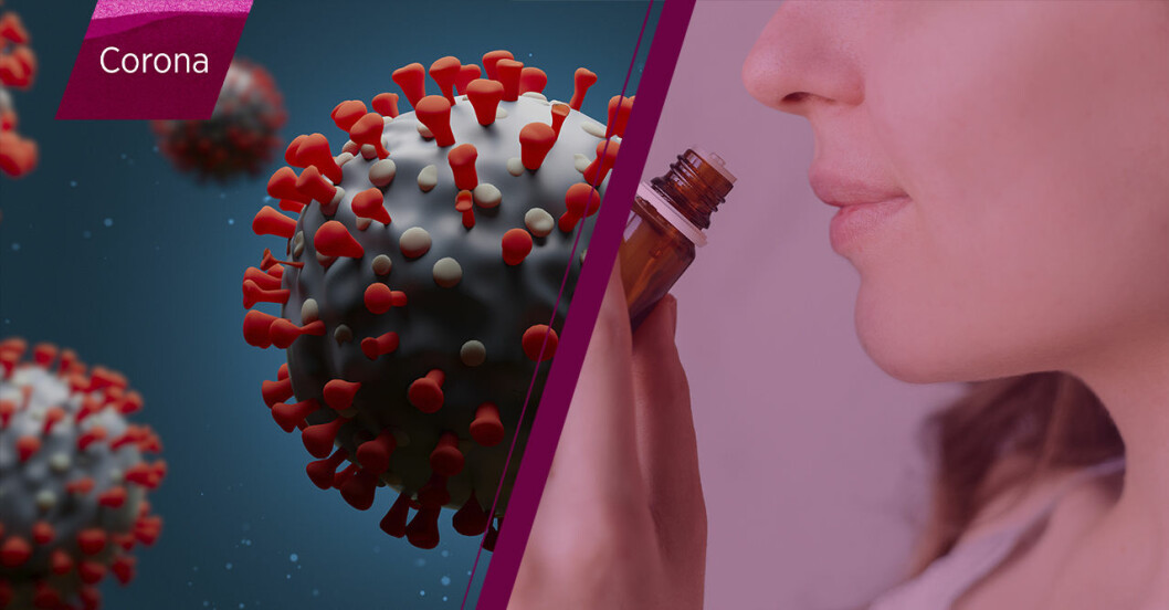 Coronaviruset kan leda till att man tappar luktsinnet