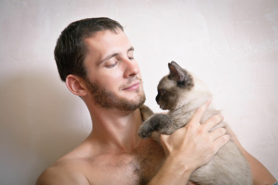 man-med-katt