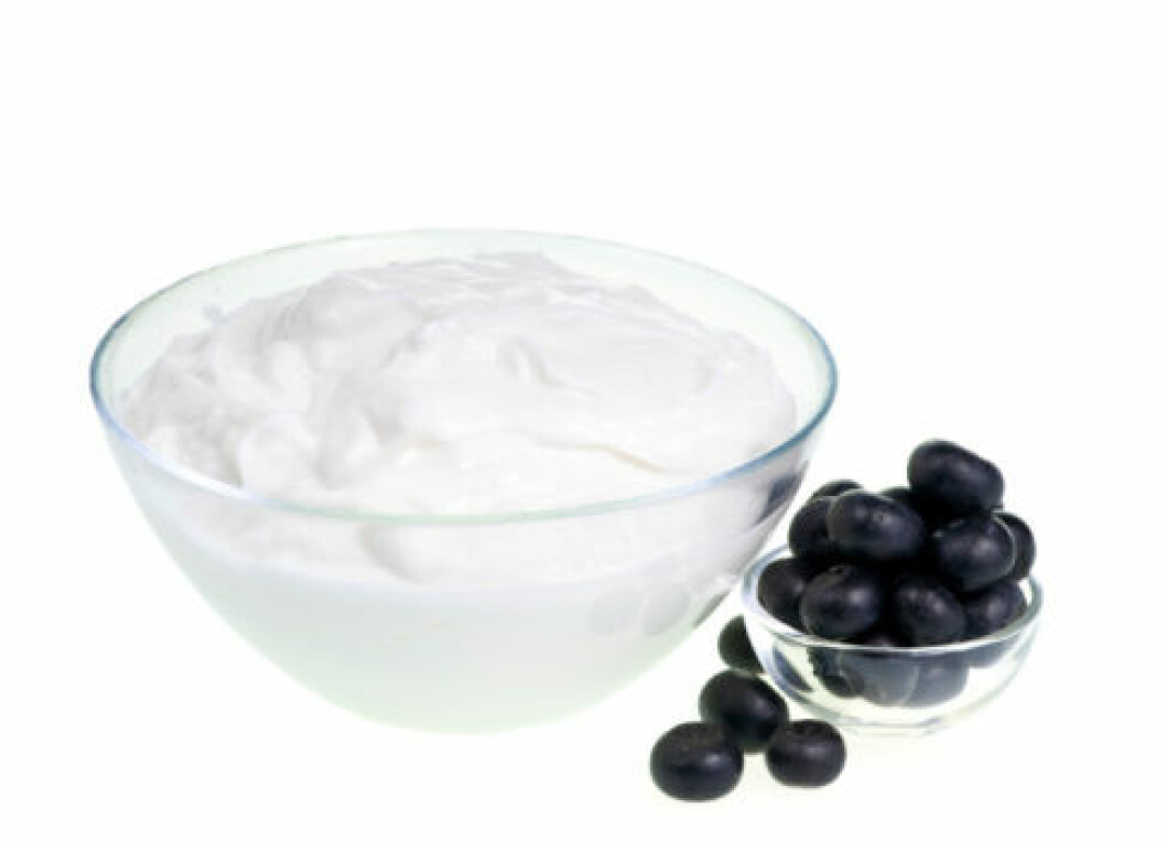 Yogurt and Blueberries