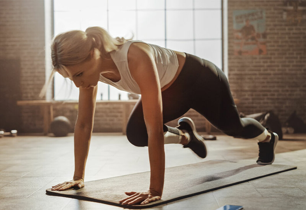 mountain climbers