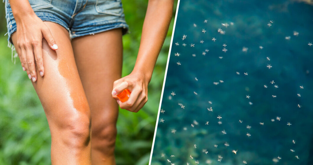 Det finns flera smarta prylar som håller myggen på avstånd – här är några!