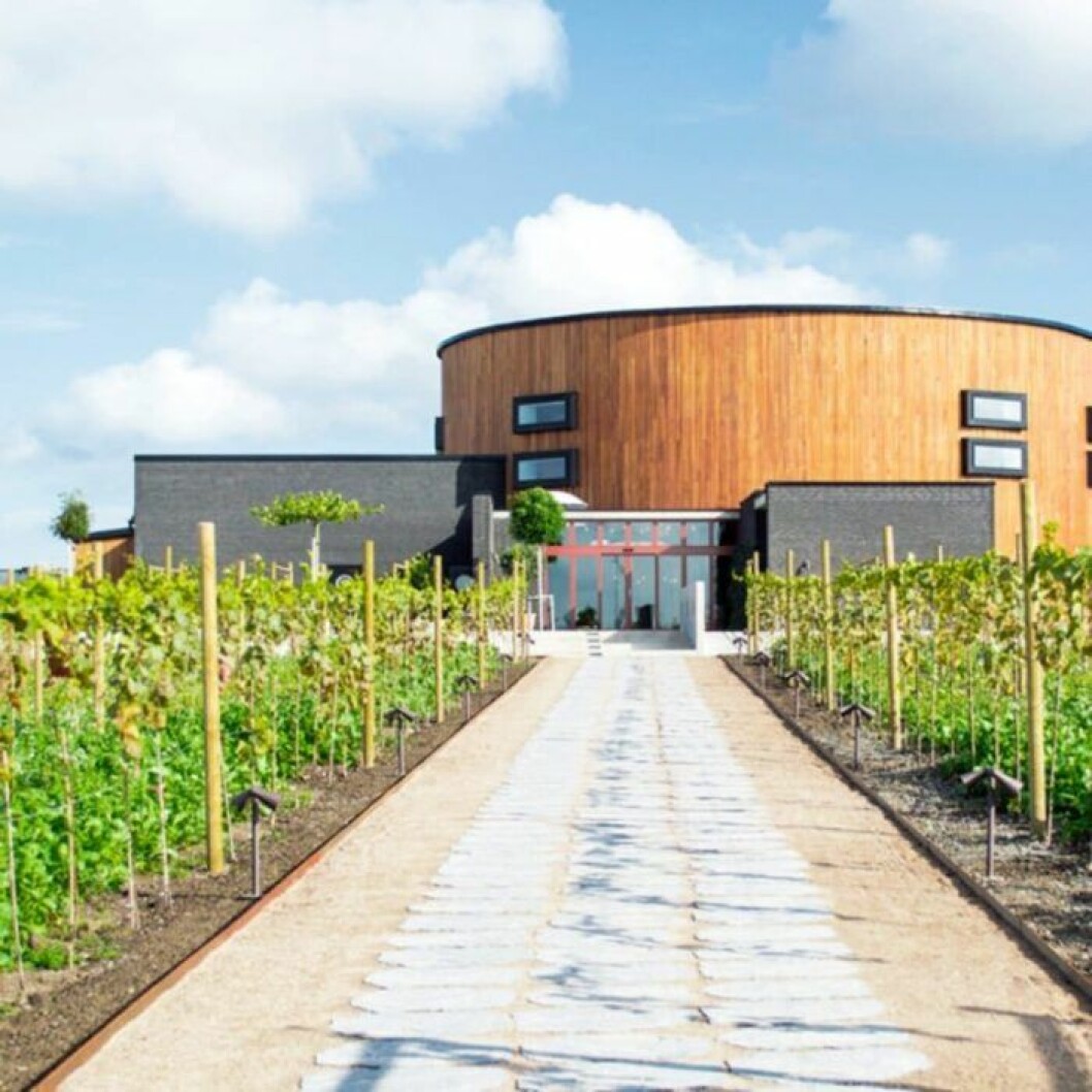 Vingårdar finns inte bara i södra Europa. nordic-sea-winery-