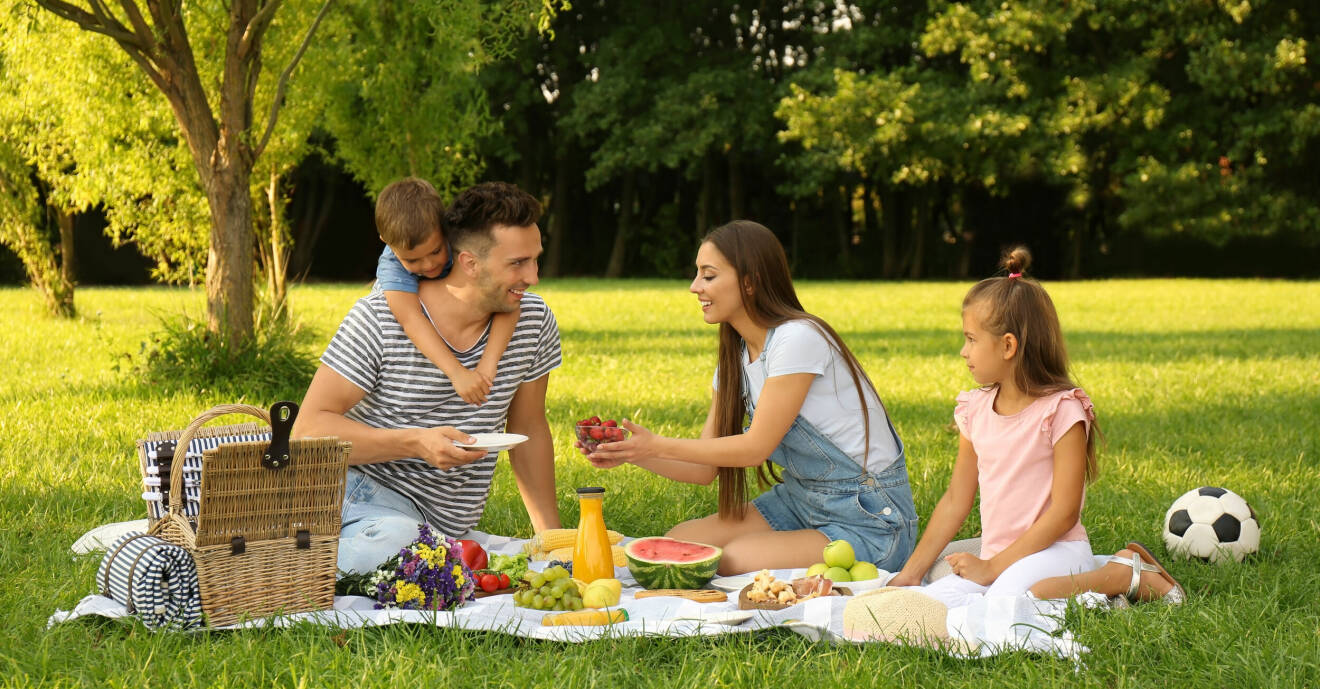 familj ute på picknick