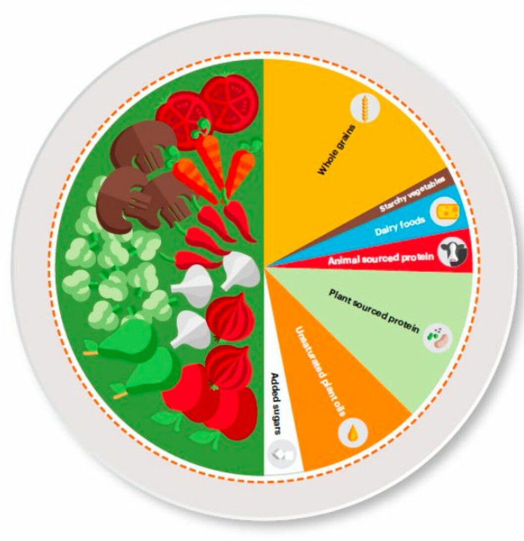 Lancet- EAT-rapportens kostcirkel uppmanar till mer grönsaker och mindre kött.