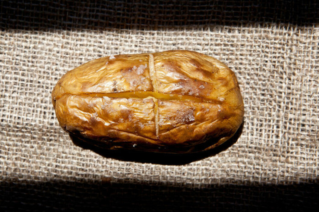 potatis