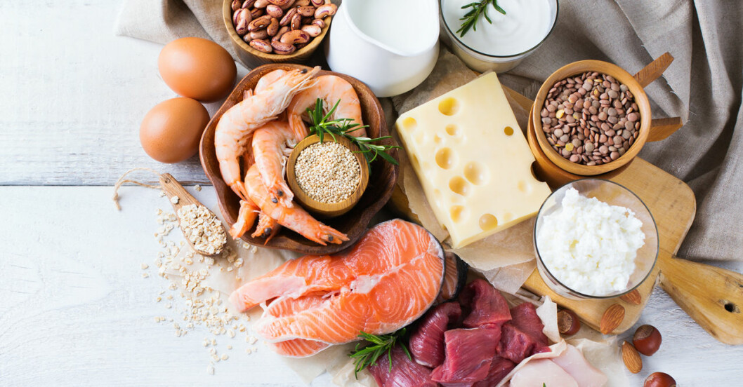 Exakt så mycket protein borde du äta | MåBra