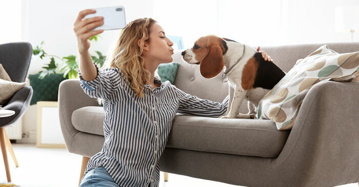 Trivs du bäst ensam, men några få vänner, i grupp eller på sociala medier? relationstyp sammankallare
