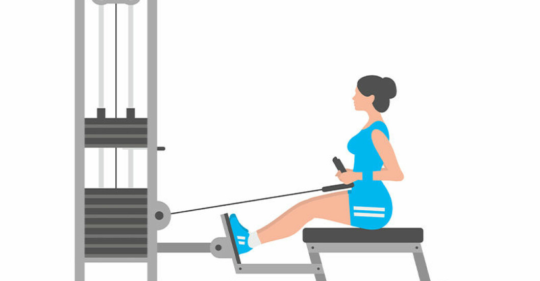 Ryggövning på gym: sittande rodd
