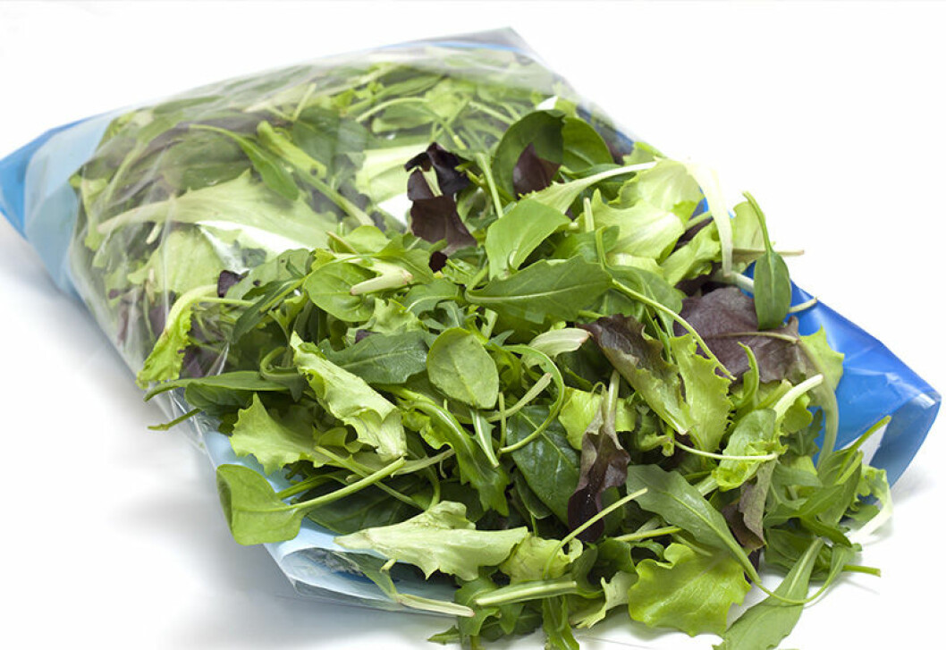 sallad i påse