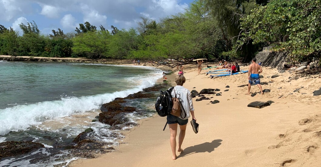 ”Den värme vi mötte från människor på ön betydde otroligt mycket”, säger Sara. Hannas föräldrar Sara och Marcus och storebror Josef reste till Hawaii för att uppleva platsen där dottern Hanna tillbringat sina sista veckor i livet.