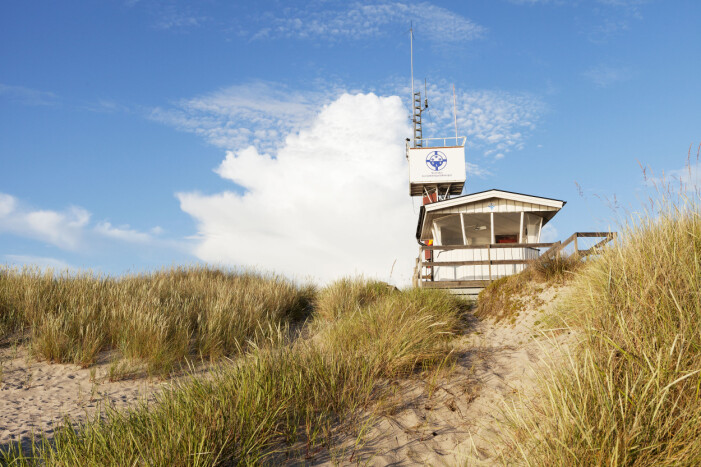Tofta strand Gotland