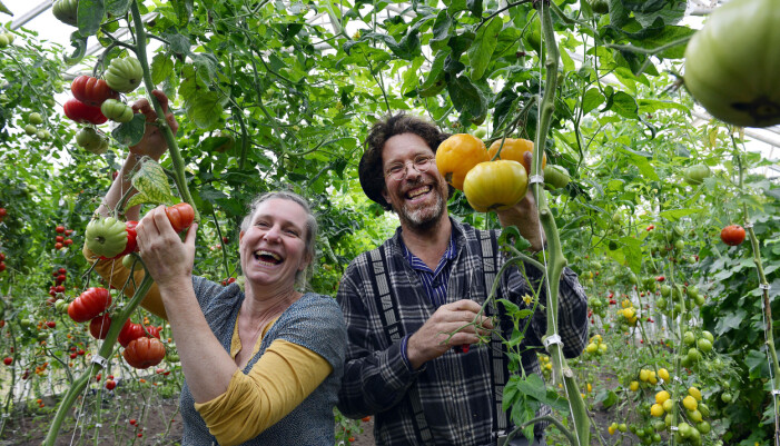 Tomatglädje!