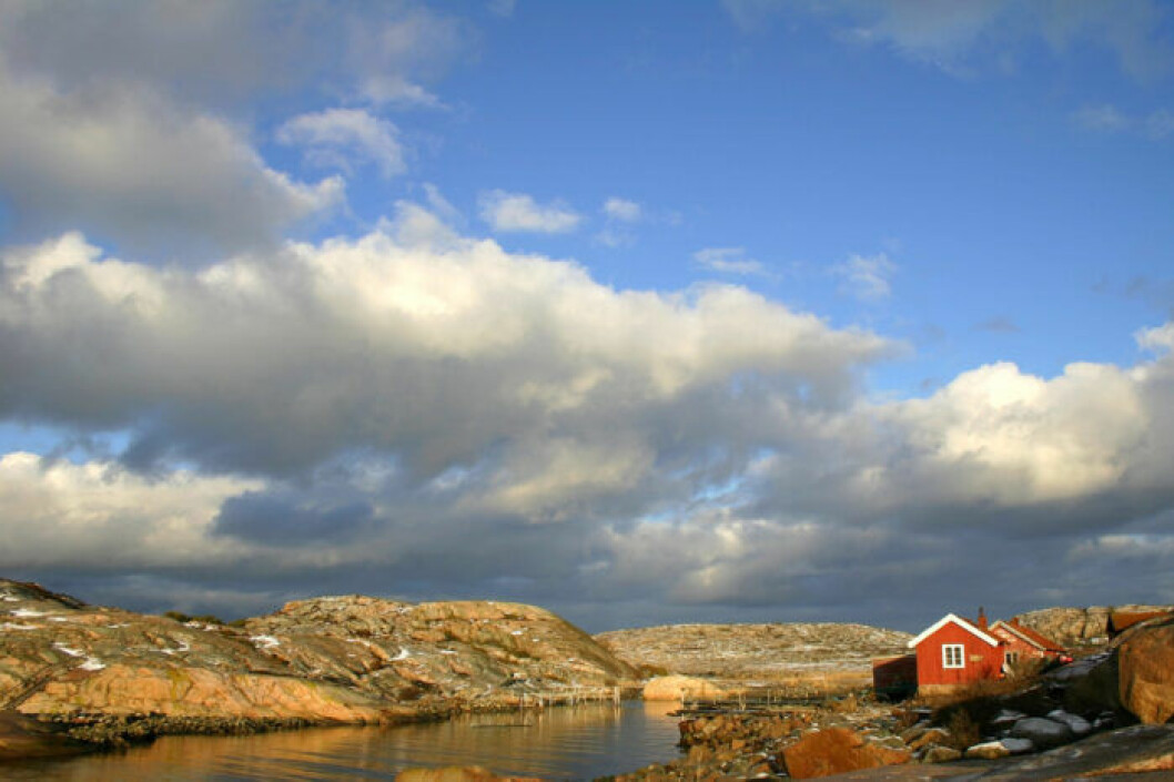 Havsvidderna i naturreservatet låter ögonen vila.