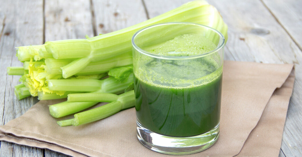 Risultato immagini per selleri juice
