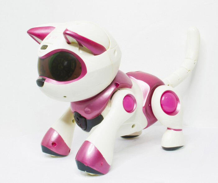 robothund