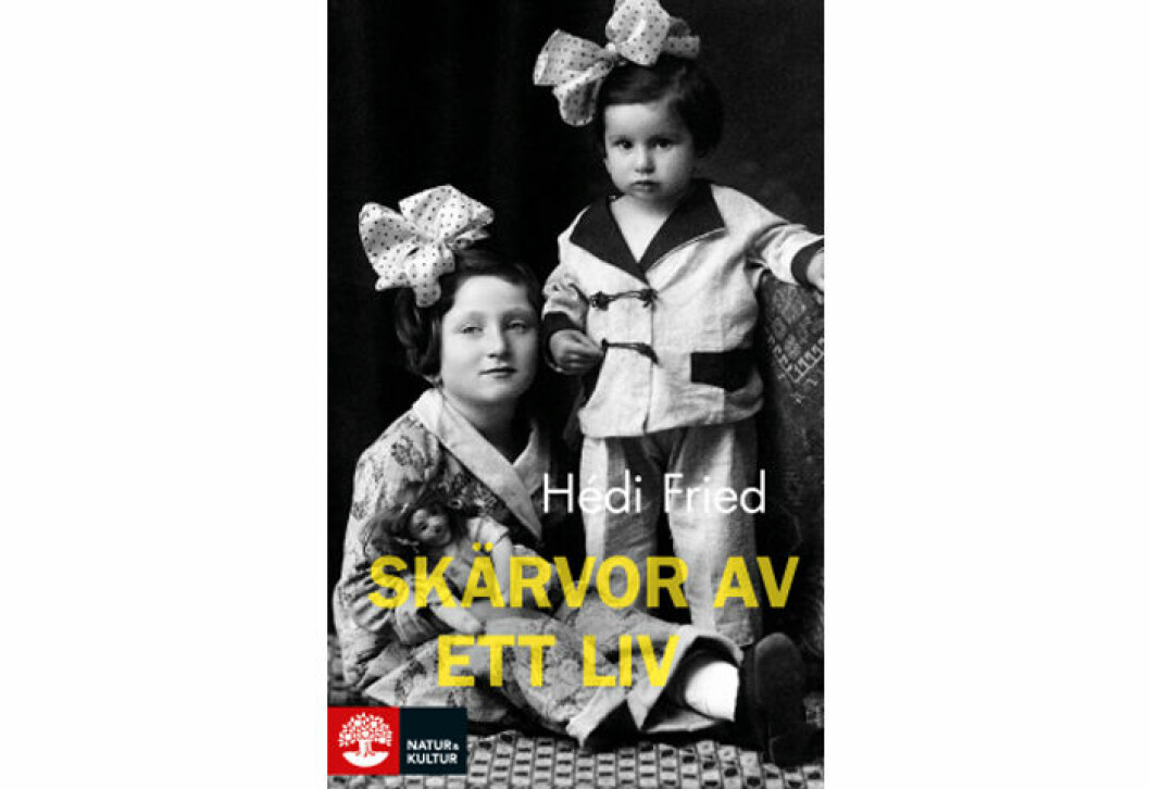 Skärvor av ett liv: Vägen till och från Auschwitz